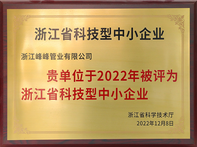 Zhejiang Province Science and Technology Small and Medium Enterprises